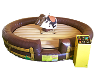Rent Cleaned and Sanitized Kids Party Mechanical Bulls in Franklin