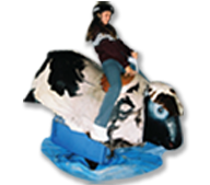 Rent Mechanical Bulls For Kids Parties in Cleveland
